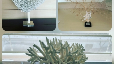 Coral furniture items